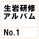 ⌤CAoNo.1